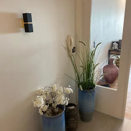 Madame Mouette 布兰肯贝赫