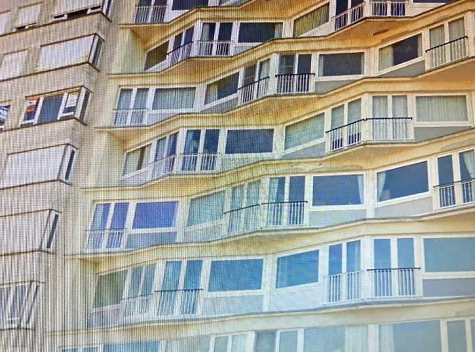 Madame Mouette Blankenberge