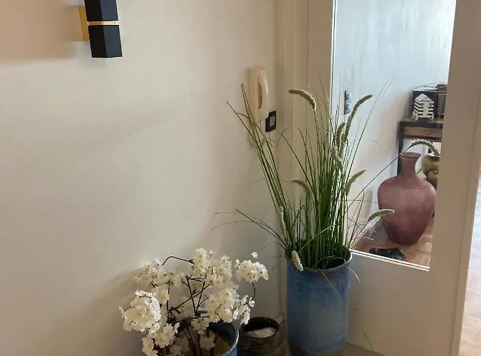 Madame Mouette Blankenberge